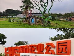 -长洲岛都市农业公园