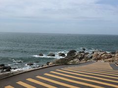-广东惠东海龟国家级自然保护区