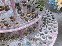 -KKV(深圳宏发大仟里店)