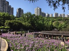 -龙头寺公园
