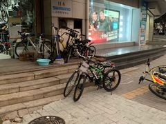 -道路口单车爱瓦士dahon大行