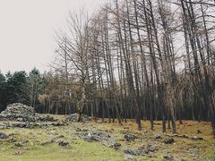 -硗碛藏寨·神木垒景区