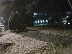 -西南交通大学(九里校区)