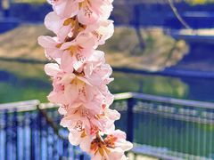 -安定门(地铁站)