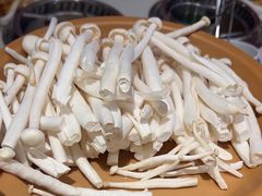 -龍歌自助小火锅(市南金茂湾店)