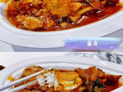 -信园