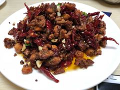 -柴窝堡辣子鸡(文艺路店)