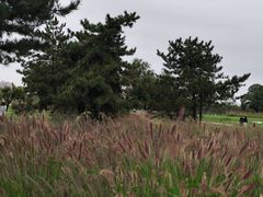 -汉长安城未央宫国家考古遗址公园