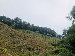 -三门江国家森林公园