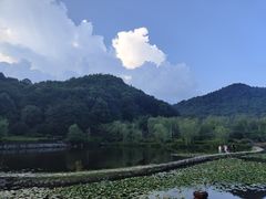 -桃花岭景区