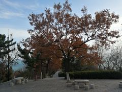-石老人观光园