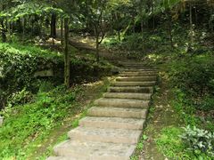 -上海佘山国家森林公园天马山园