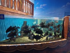 -沙沙哗啦海洋馆(华宇百花谷店)