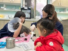 -北京观赏动物医院·24小时大型综合·猫专科·异宠专科