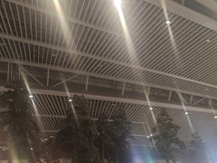 -青岛胶东国际机场