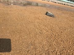 -在海一方公园