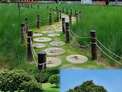 -红花山公园
