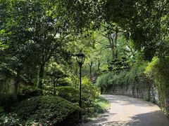 -南山植物园