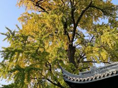 -惠山古镇·寄畅园