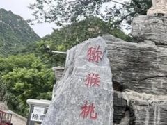 -大岭沟猕猴桃谷风景区