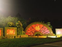 -金山植物公园