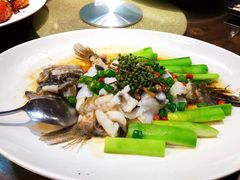 -猪肉婆私房菜(容桂总店)