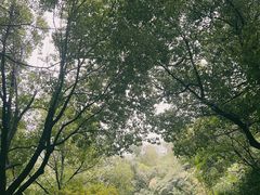 -长谷洞天