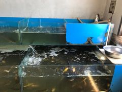 -大鹅岛灶台鱼·铁锅炖(水库路店)