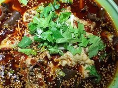 -西木兔(大圆祥店)