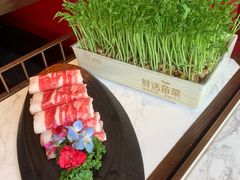 -捞神煲汤火锅(湖滨商业街店)