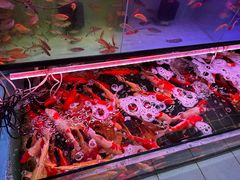 -双季花艺园艺市场(浦东店)