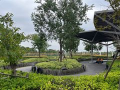 游乐设施-季高兔窝窝亲子园(上海薰衣草公园店)