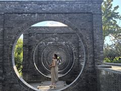 -庾园
