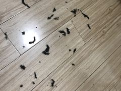 -NIKE品牌体验店(南京东路店)