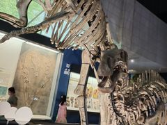 -湖南省地质博物馆