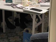 -剧狐剧本杀·月球探案馆(人民广场1号店)