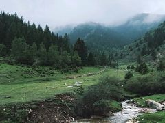 -芦芽山旅游度假区
