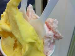 番石榴+芒果-柠檬车露(卖草地店)