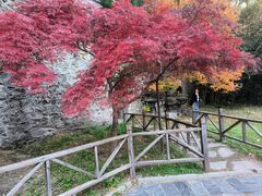 -香山公园