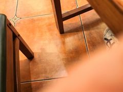 -九十九顶毡房(清河店)