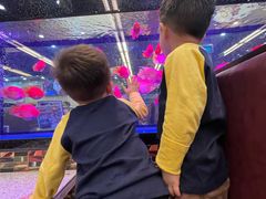 -新辉港式茶餐厅(北栅店)