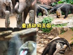 -长鹿旅游休博园