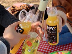 -蜀冈西峰生态公园