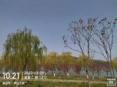 -羊山湖公园