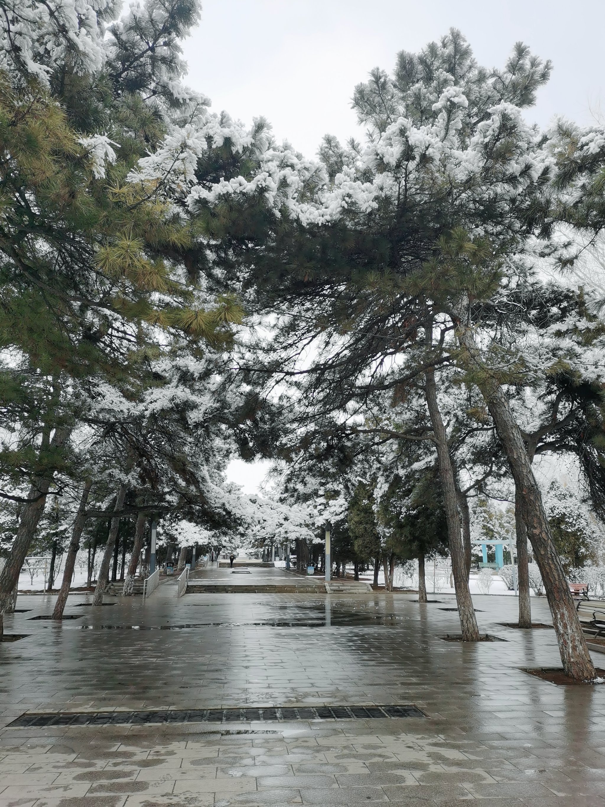 阜新雪景图片