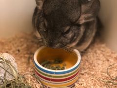 -龙猫仔乐园(惠福东路店)