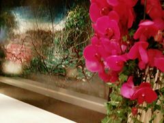 -上海静安香格里拉大酒店