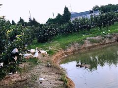 -呼吸森林·生态农庄农家乐私房菜