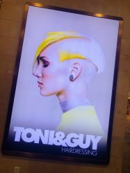-TONI&GUY