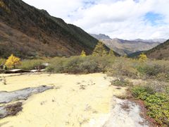 -黄龙山原始森林景区